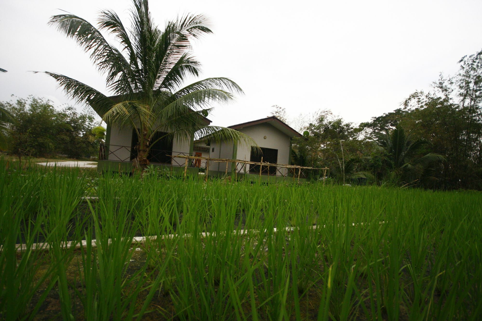 Long Lake Resort Chonburi Exterior photo