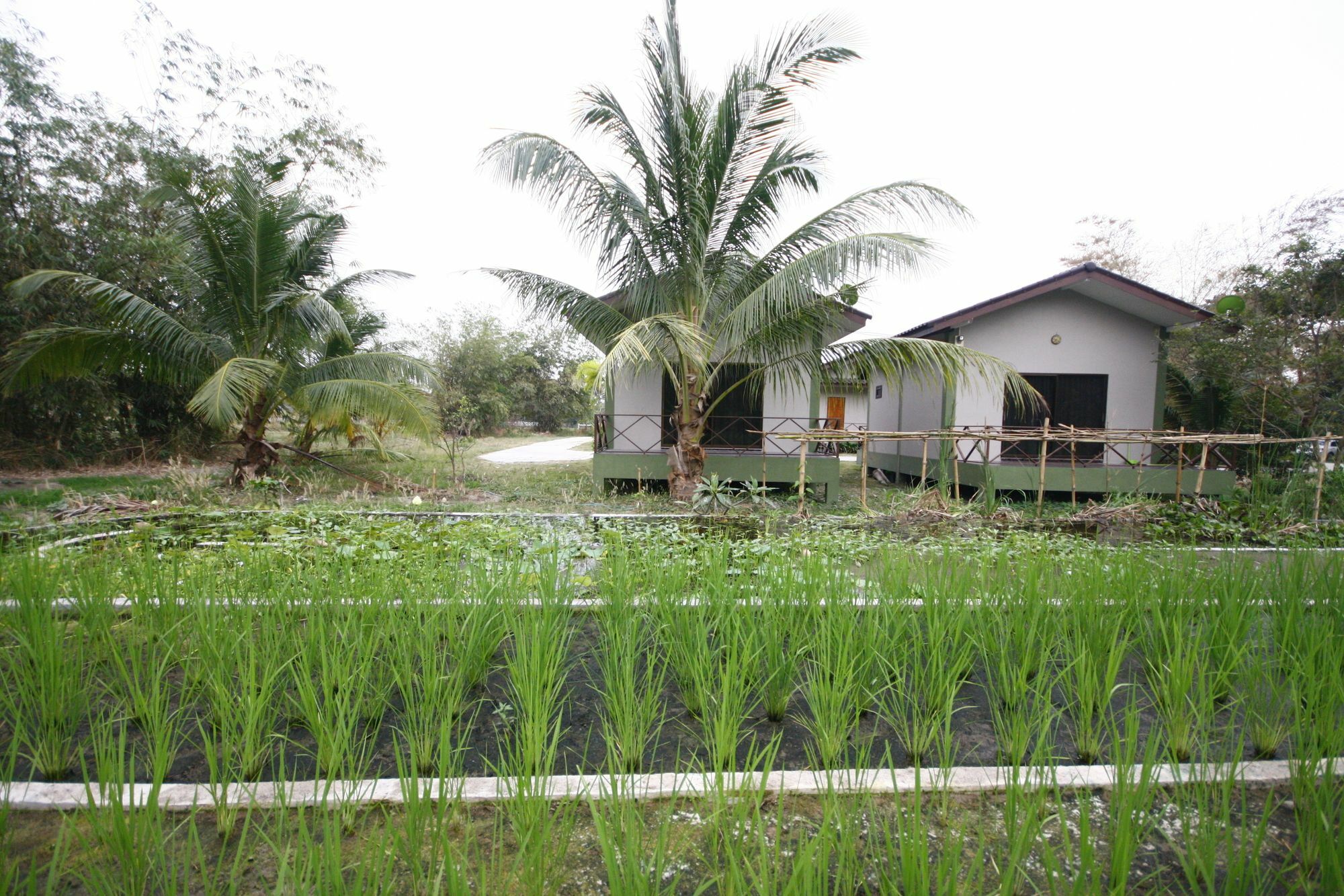 Long Lake Resort Chonburi Exterior photo